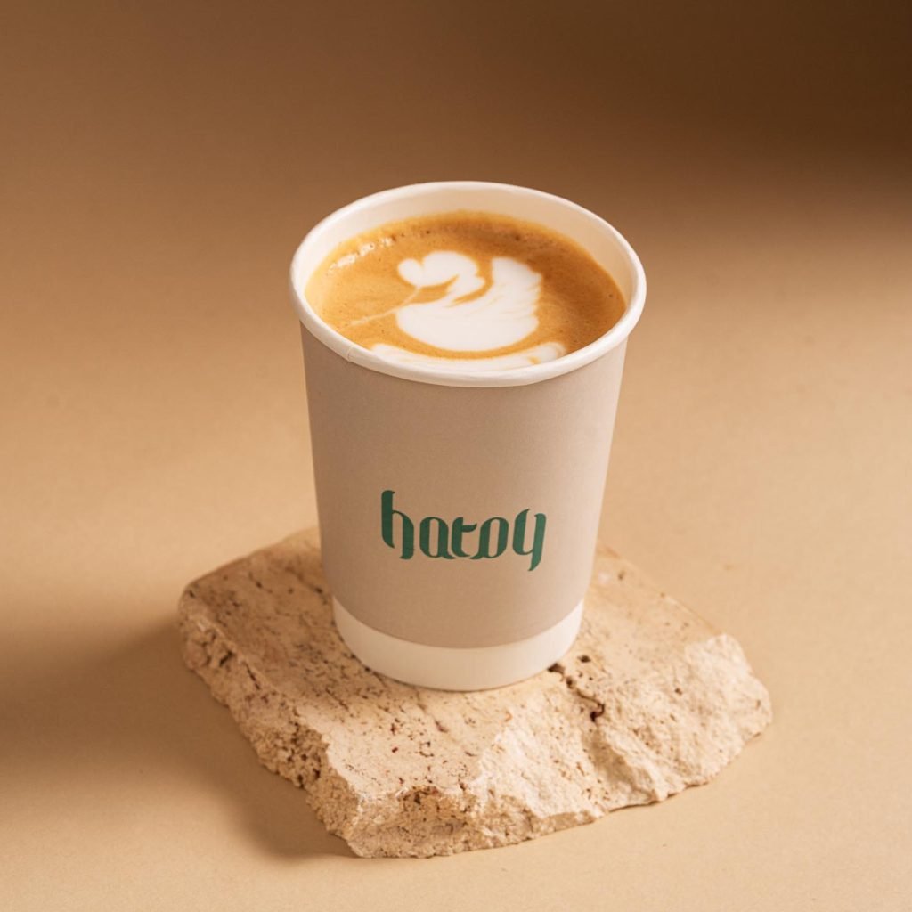 هاتاي7479-1 (1)